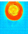 The Use of Hyperspectral Imaging in the Food and Beverage Sector - CAPPA