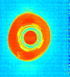 The Use of Hyperspectral Imaging in the Food and Beverage Sector - CAPPA