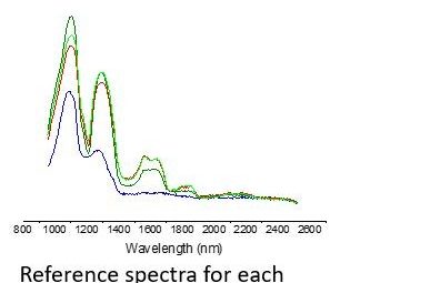The Use of Hyperspectral Imaging in the Food and Beverage Sector - CAPPA