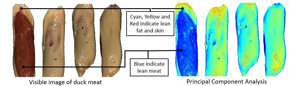 The Use of Hyperspectral Imaging in the Food and Beverage Sector - CAPPA