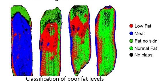 The Use of Hyperspectral Imaging in the Food and Beverage Sector - CAPPA