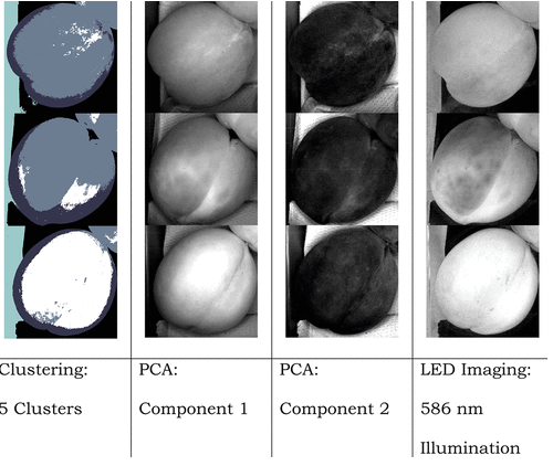 The Use of Hyperspectral Imaging in the Food and Beverage Sector - CAPPA